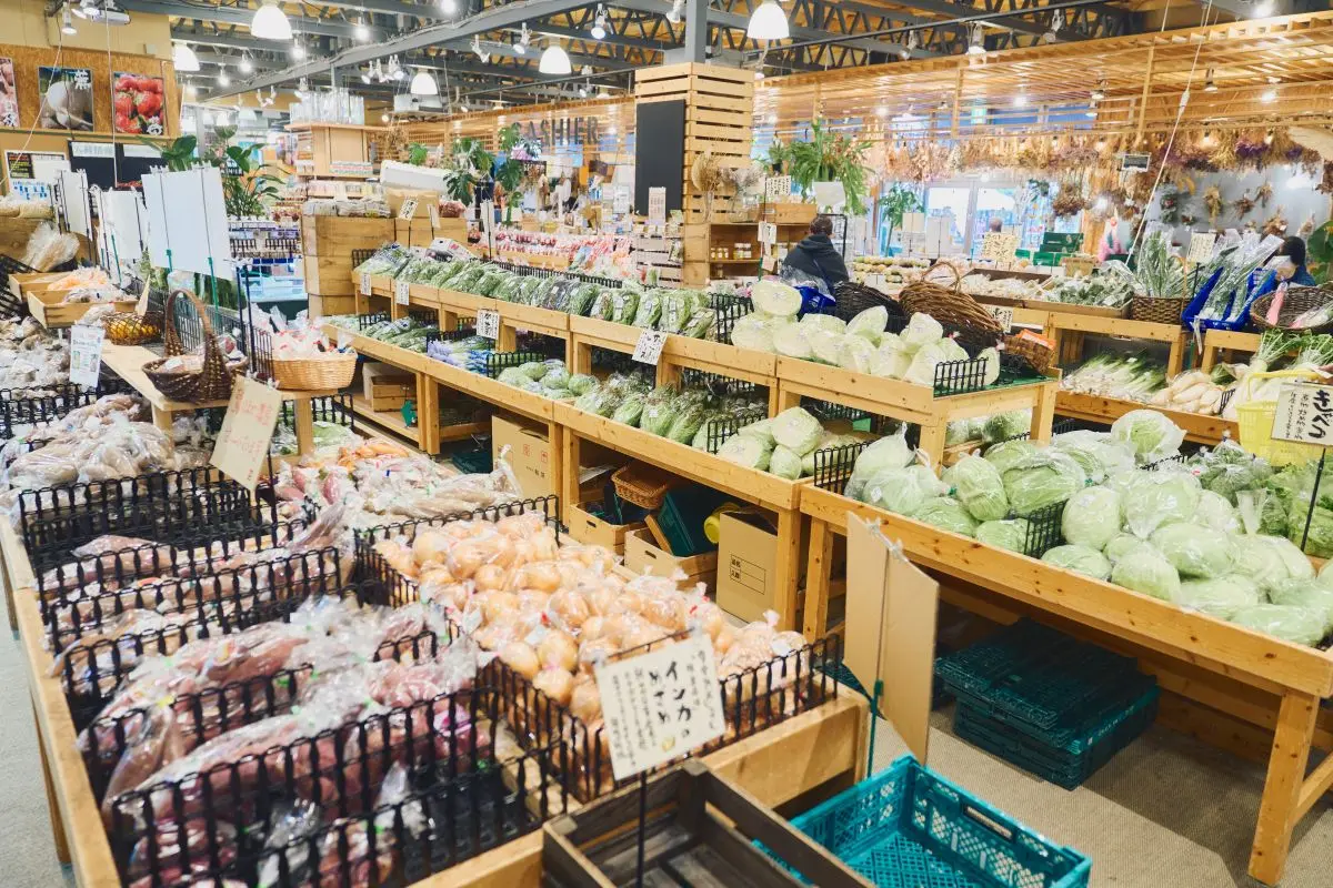 Harbor Marche Pier Bandai