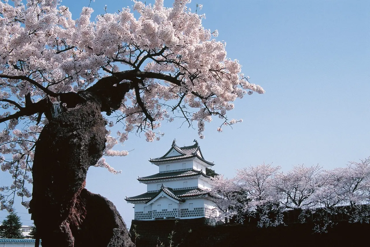 Shibata Castle Ruins Park