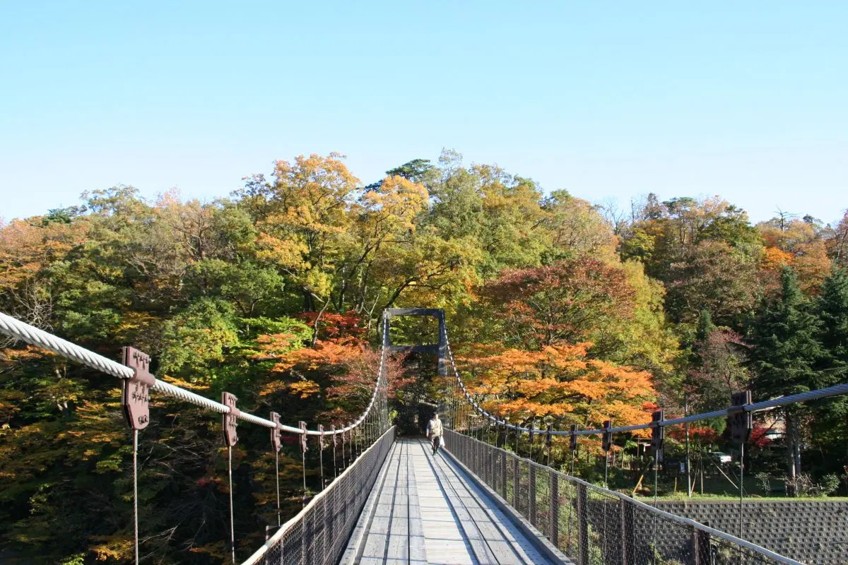 Arakawakyo Momiji Line and Takanosu Suspension Bridge
