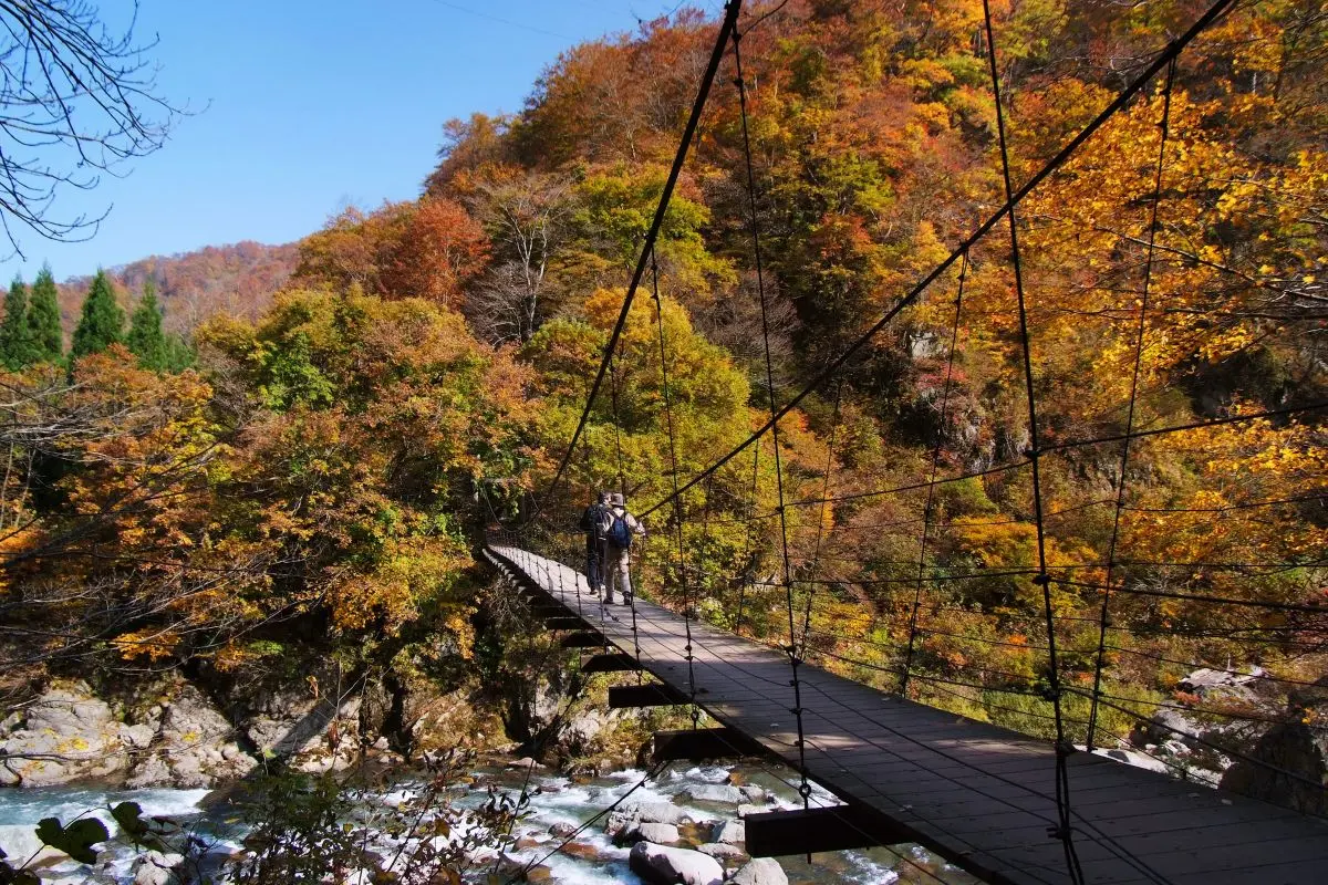 The Hidden Border Akiyamago