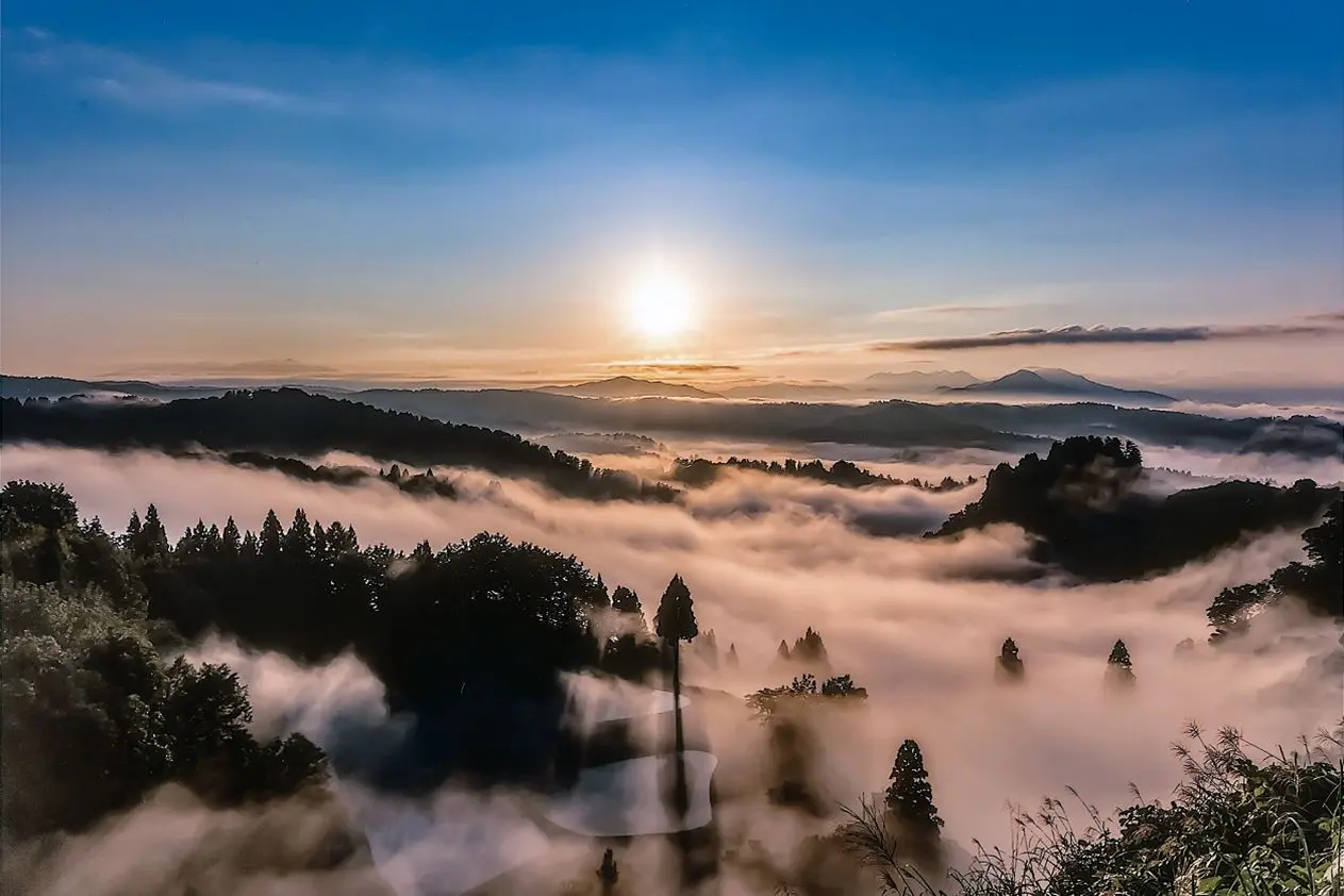 Yamakoshi Rice Terraces