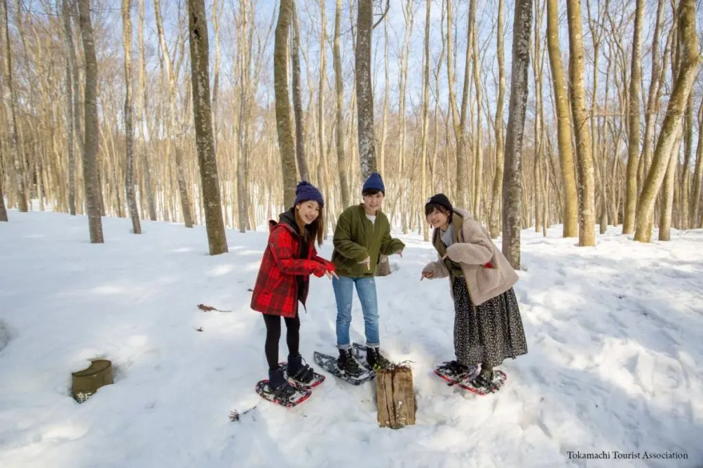 Snowshoeing in Bijinbayashi Forest