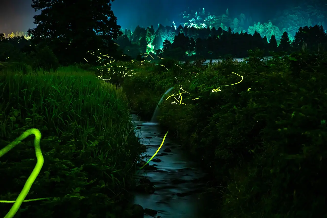 Gozu Onsen Village（Gozu Onsengou）