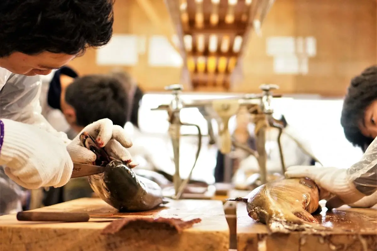 Salmon Salting Experience