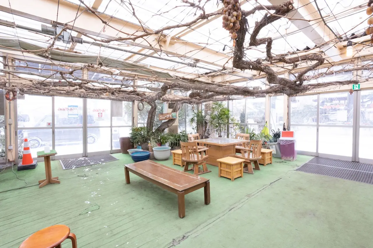 Fruit Garden Shirone Grapes Garden