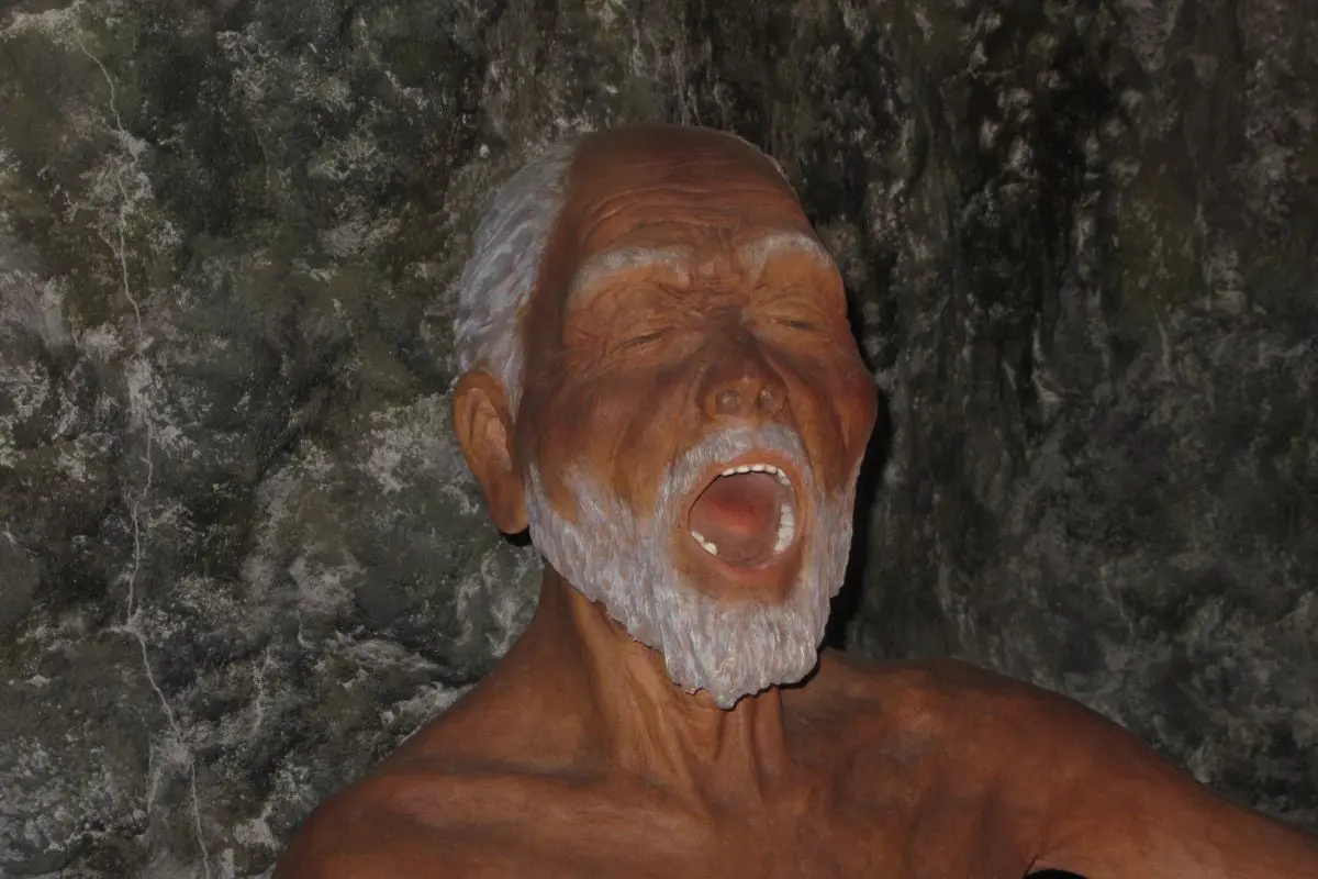 Niigata Prefectural Museum of History