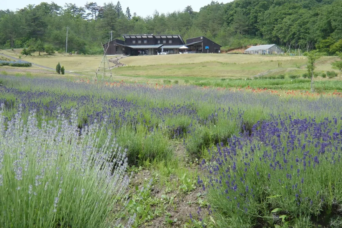Ashizawa Herbal Park (herb garden)