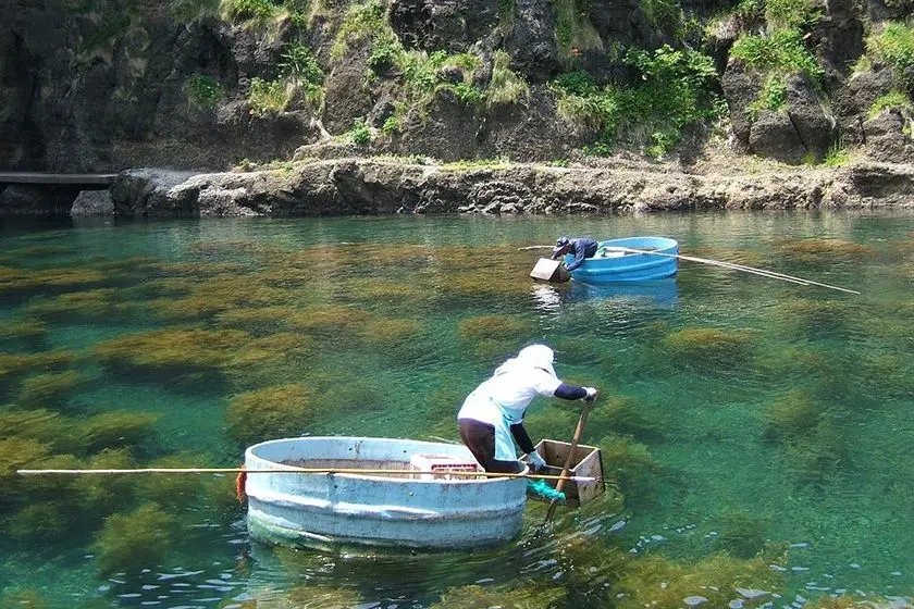 Taraibune Tub-Boat Ride (Yajima Taiken Koryukan)