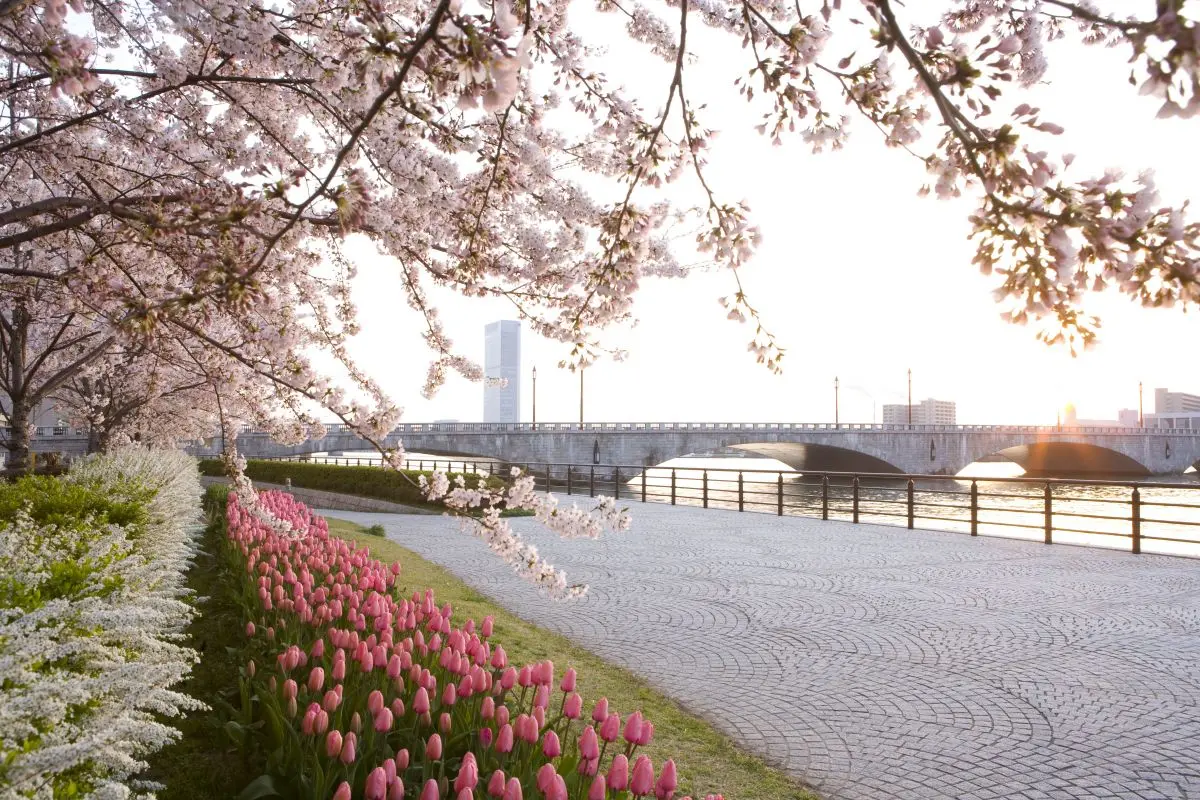 Yasuragitei Embankment