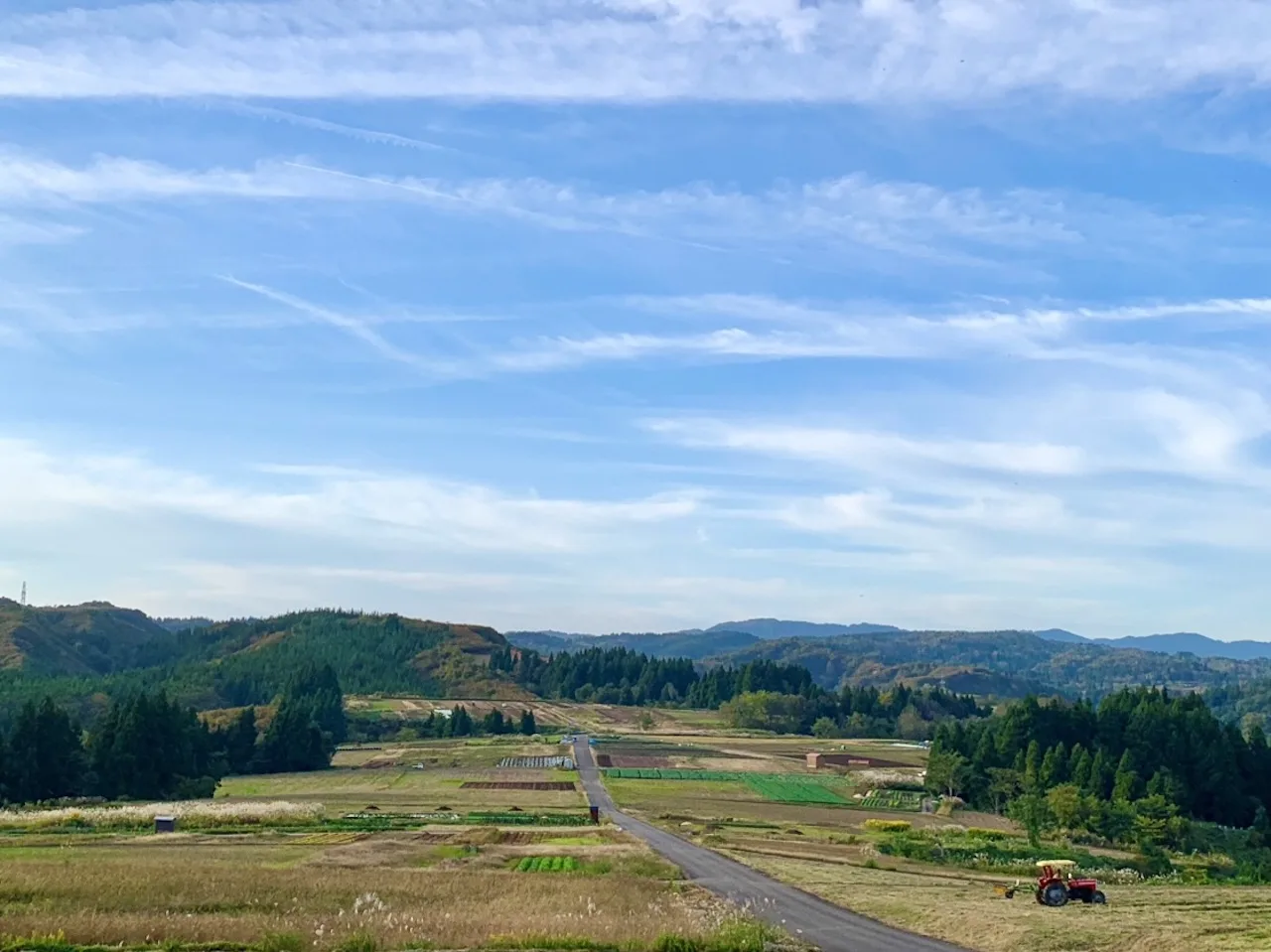 Uwappara Cosmos Park