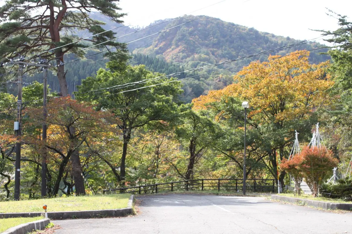 Arakawakyo Momiji Line and Takanosu Suspension Bridge
