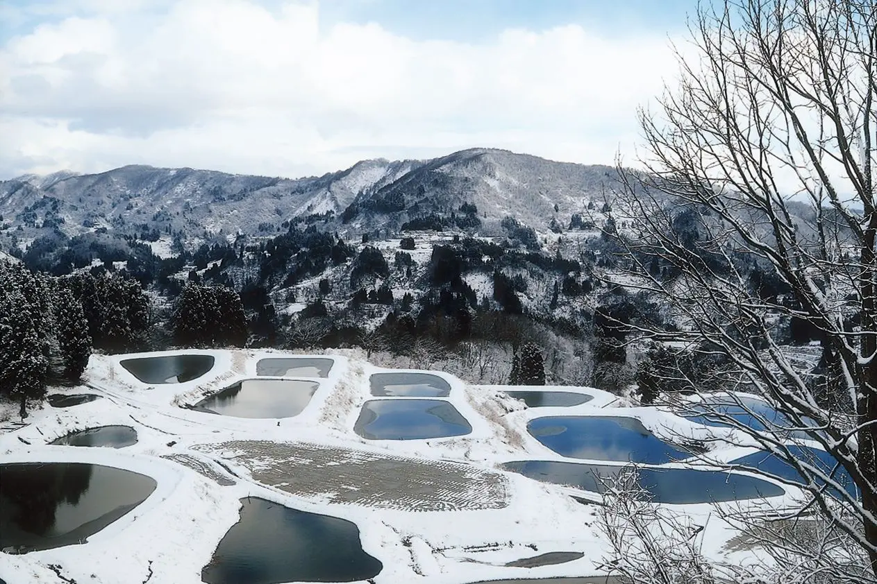 Yamakoshi Rice Terraces