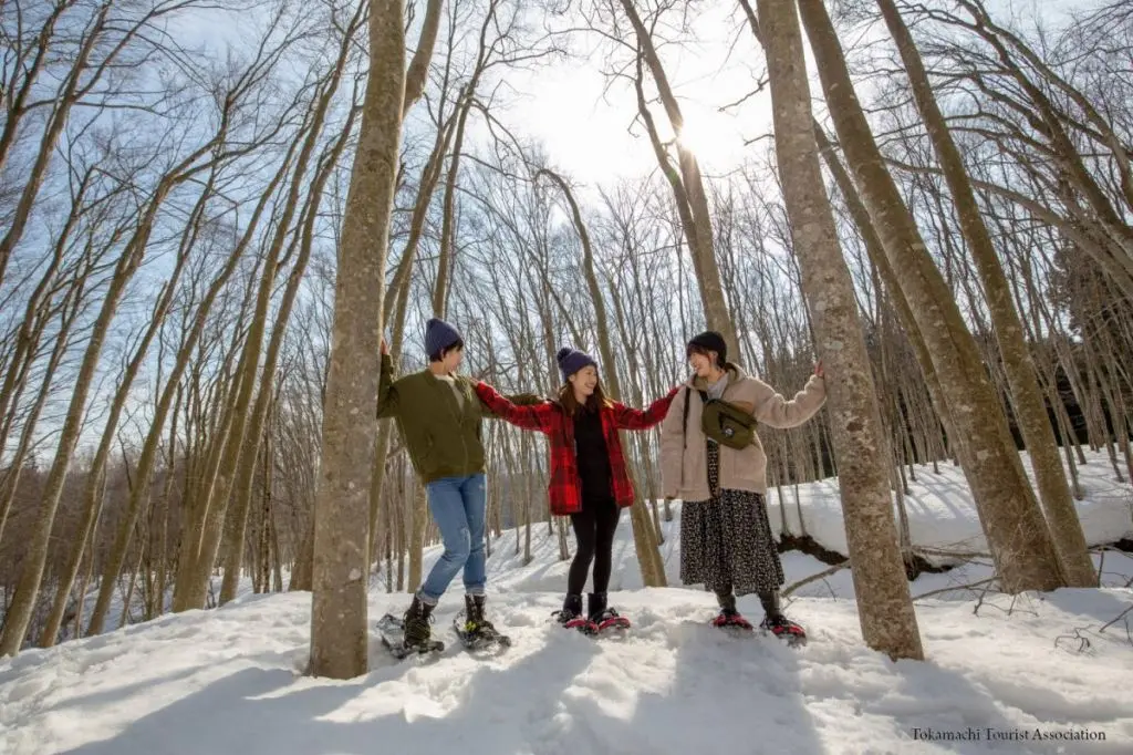 Snowshoeing in Bijinbayashi Forest