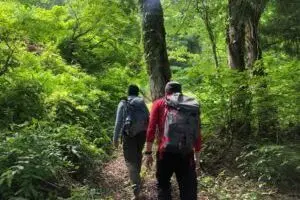 Rice Terrace Trekking