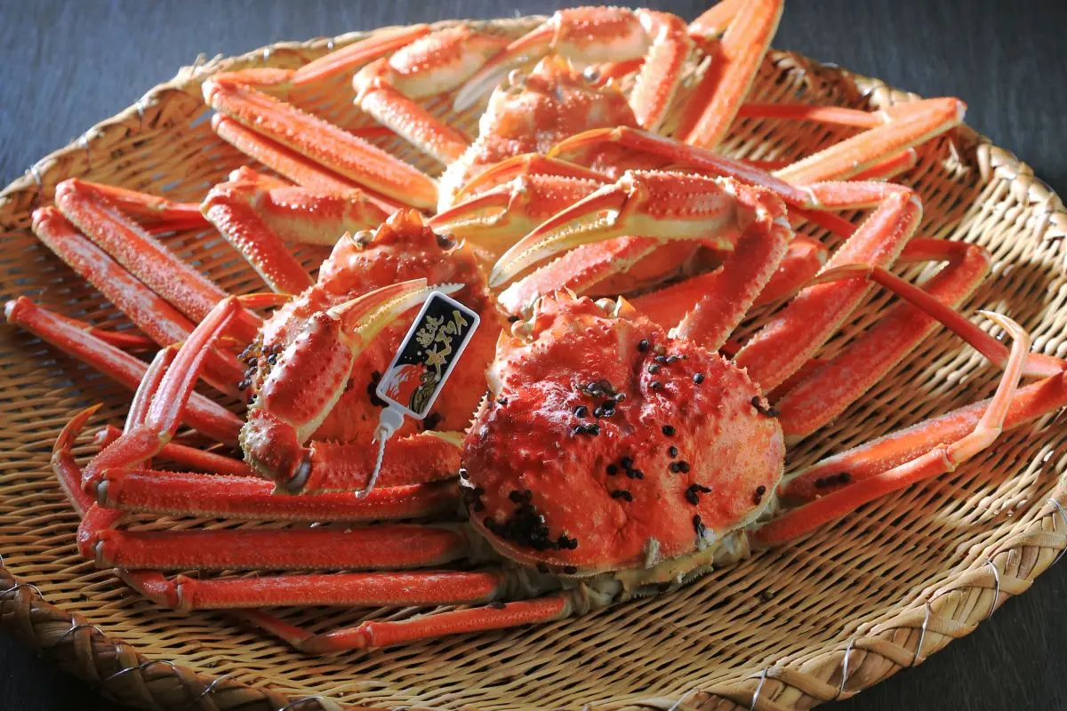 Kadoya Ryokan & Farm