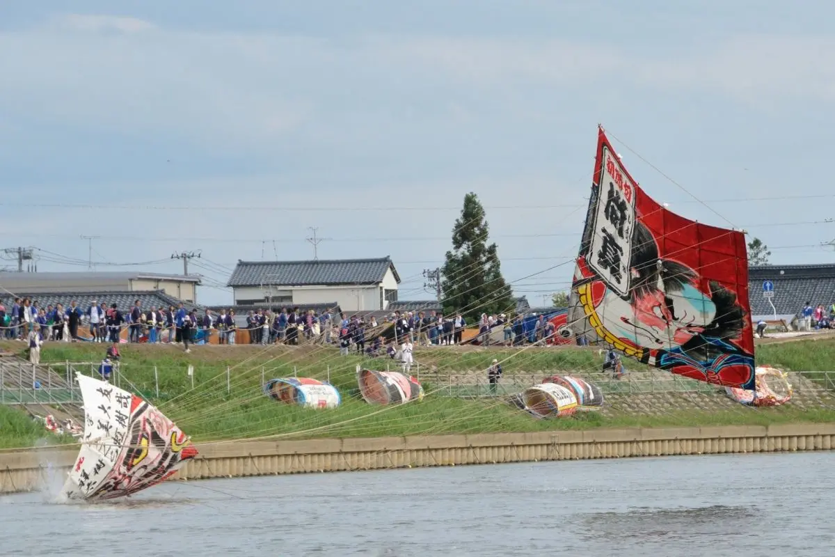 Shirone Giant Kite Battle