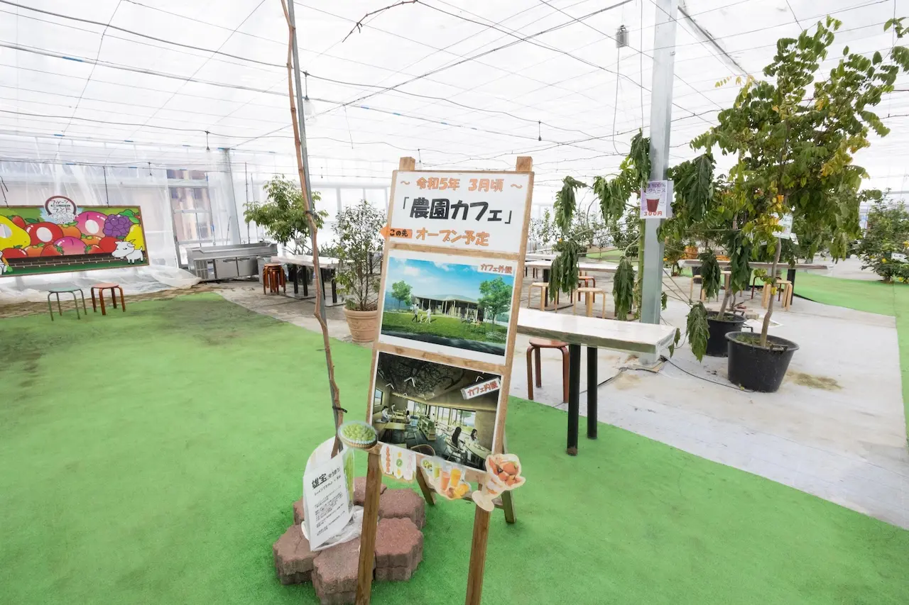 Fruit Garden Shirone Grapes Garden