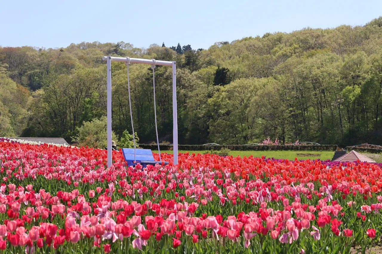 Echigo Hillside Park