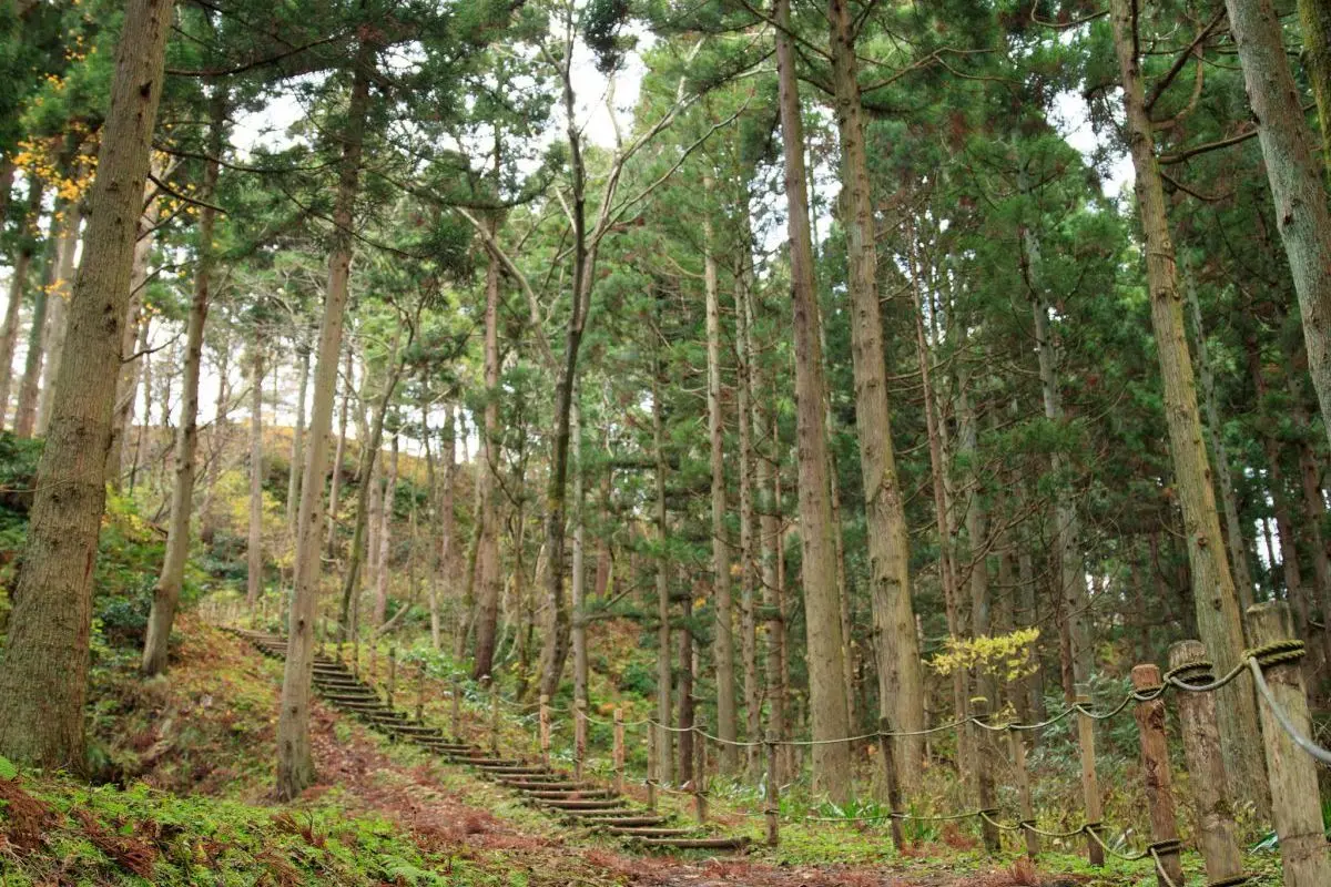 Site of Kasugayama Castle