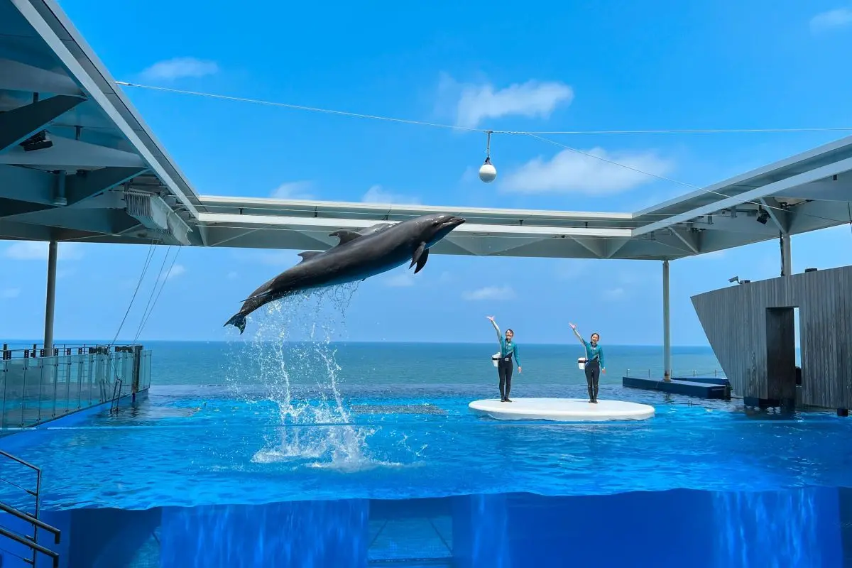 Joetsu Aquarium Umigatari