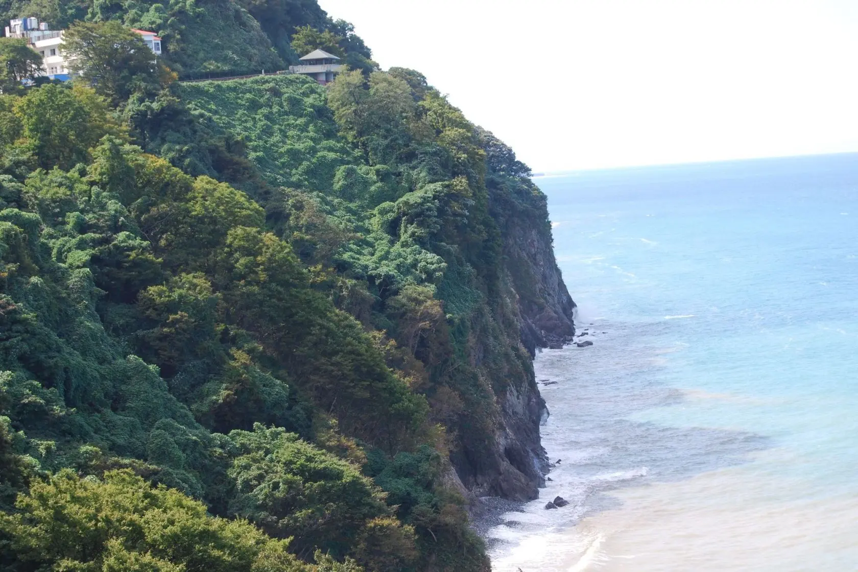 Oyashirazu-koshirazu