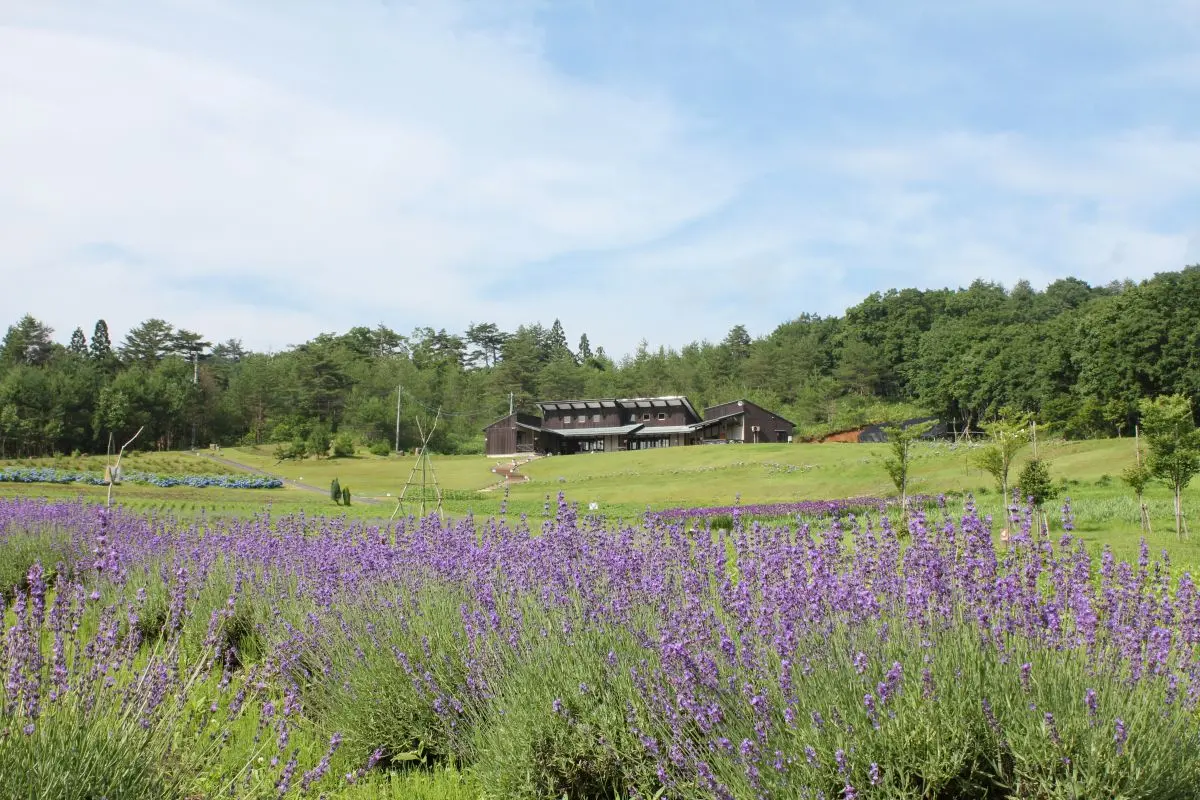 Ashizawa Herbal Park (herb garden)