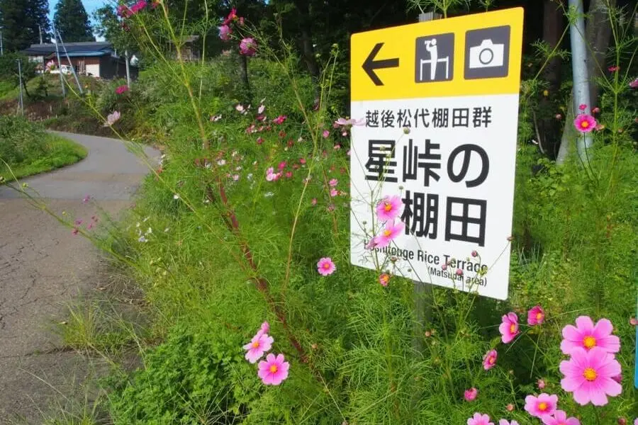 Hoshitoge Rice Terraces