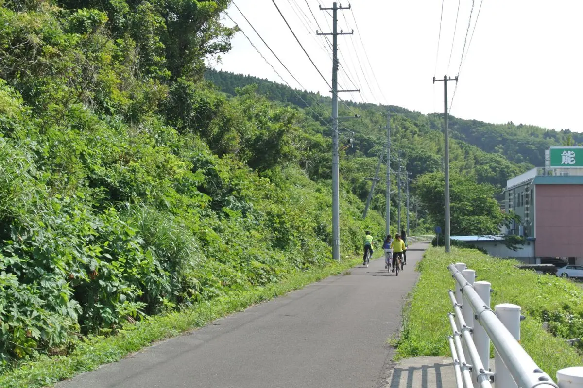 Kubiki Cycling Road