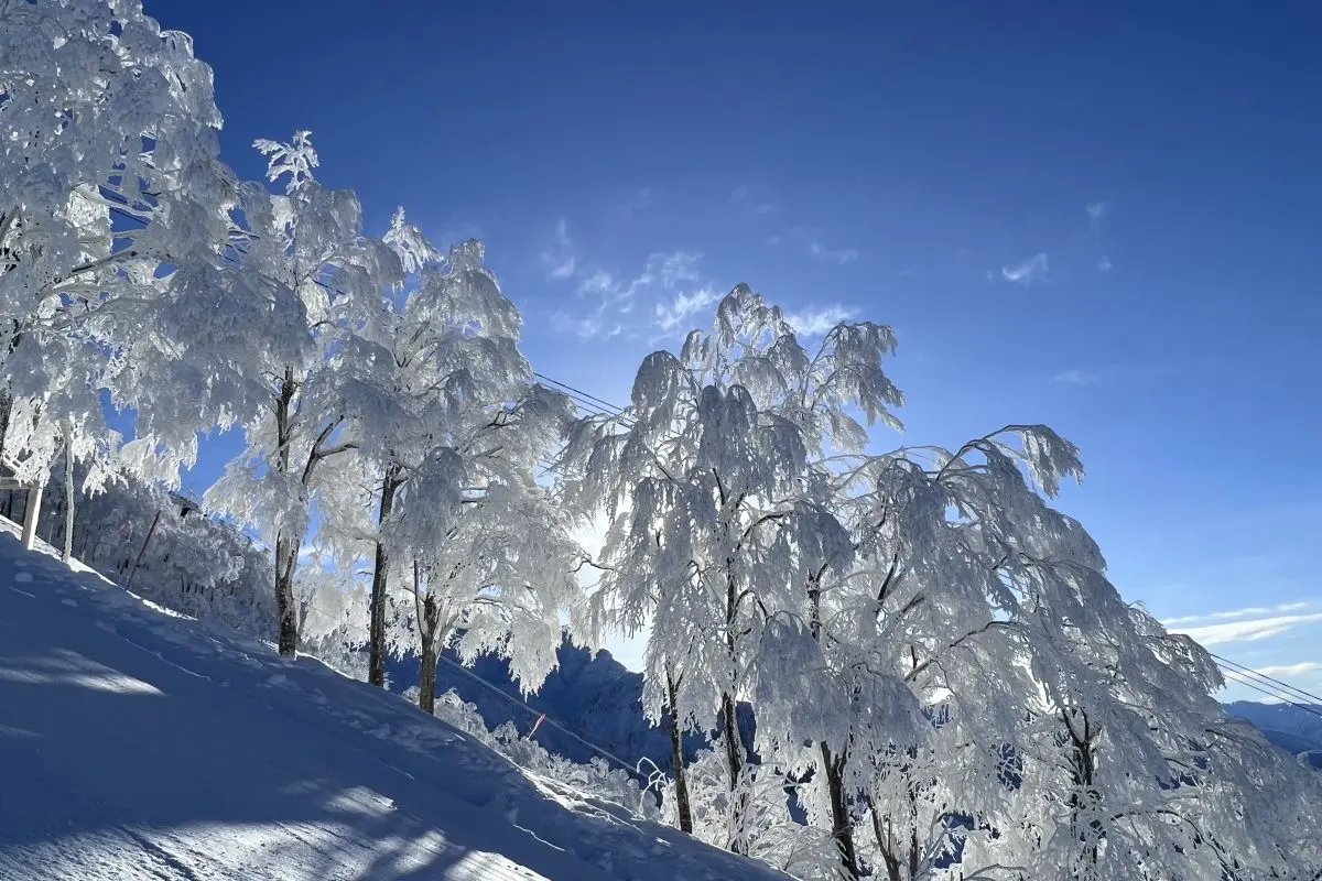 Muikamachi Hakkaisan Ski Resort