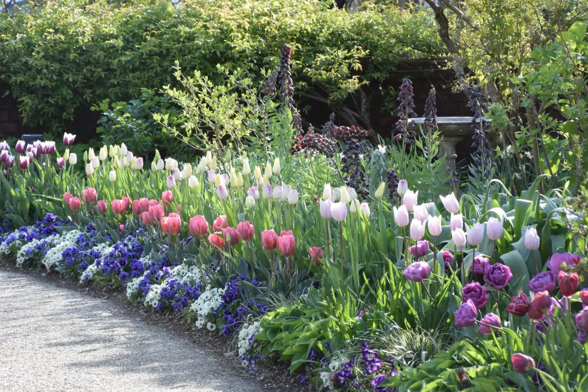 Mitsuke English Garden