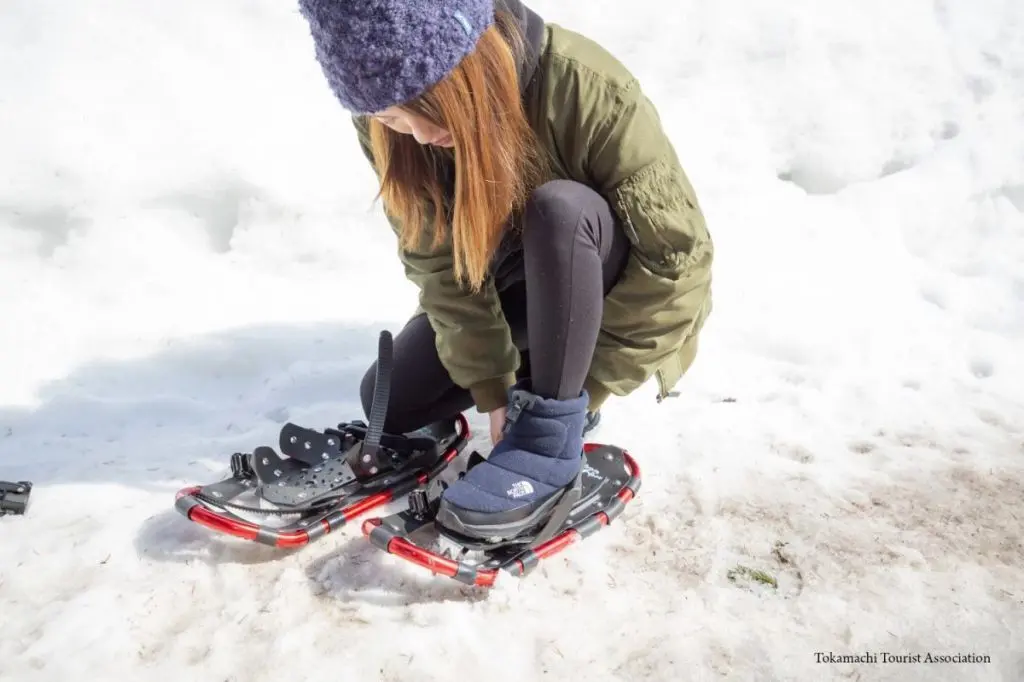 Snowshoeing in Bijinbayashi Forest