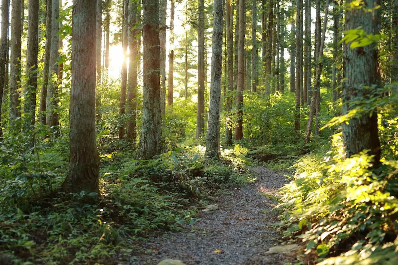 Gozu Onsen Village（Gozu Onsengou）