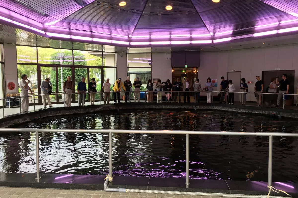 Ojiya Nishikigoi no Sato