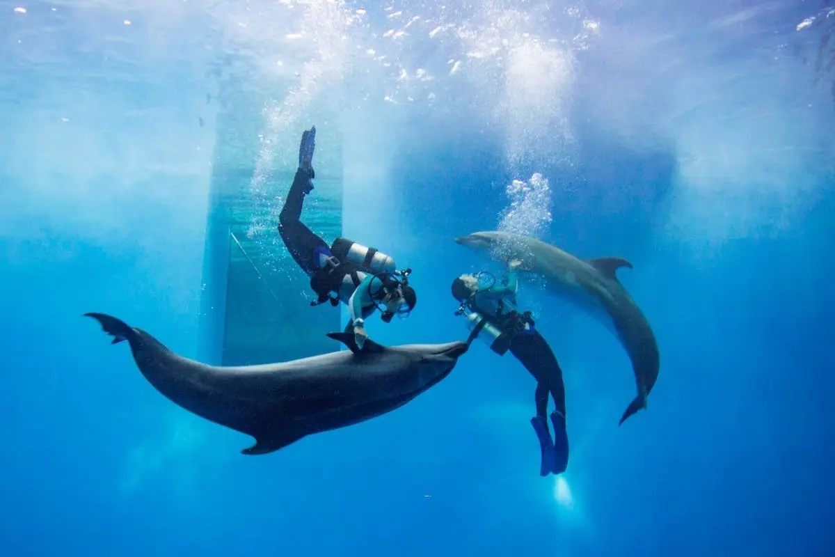 Joetsu Aquarium Umigatari