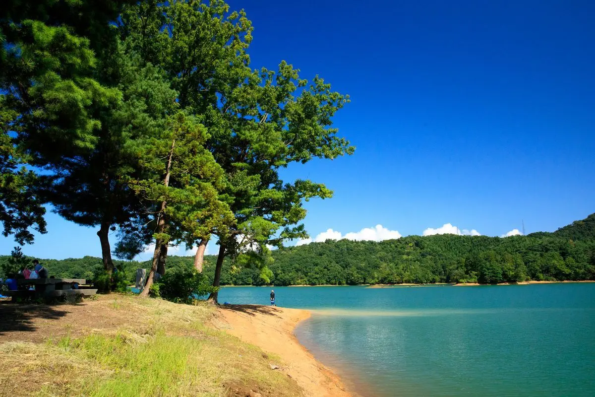 Ogata Camping Ground