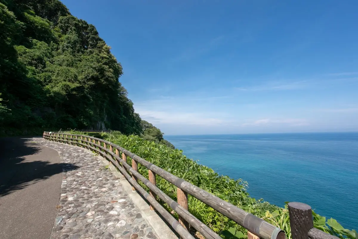 Oyashirazu-koshirazu