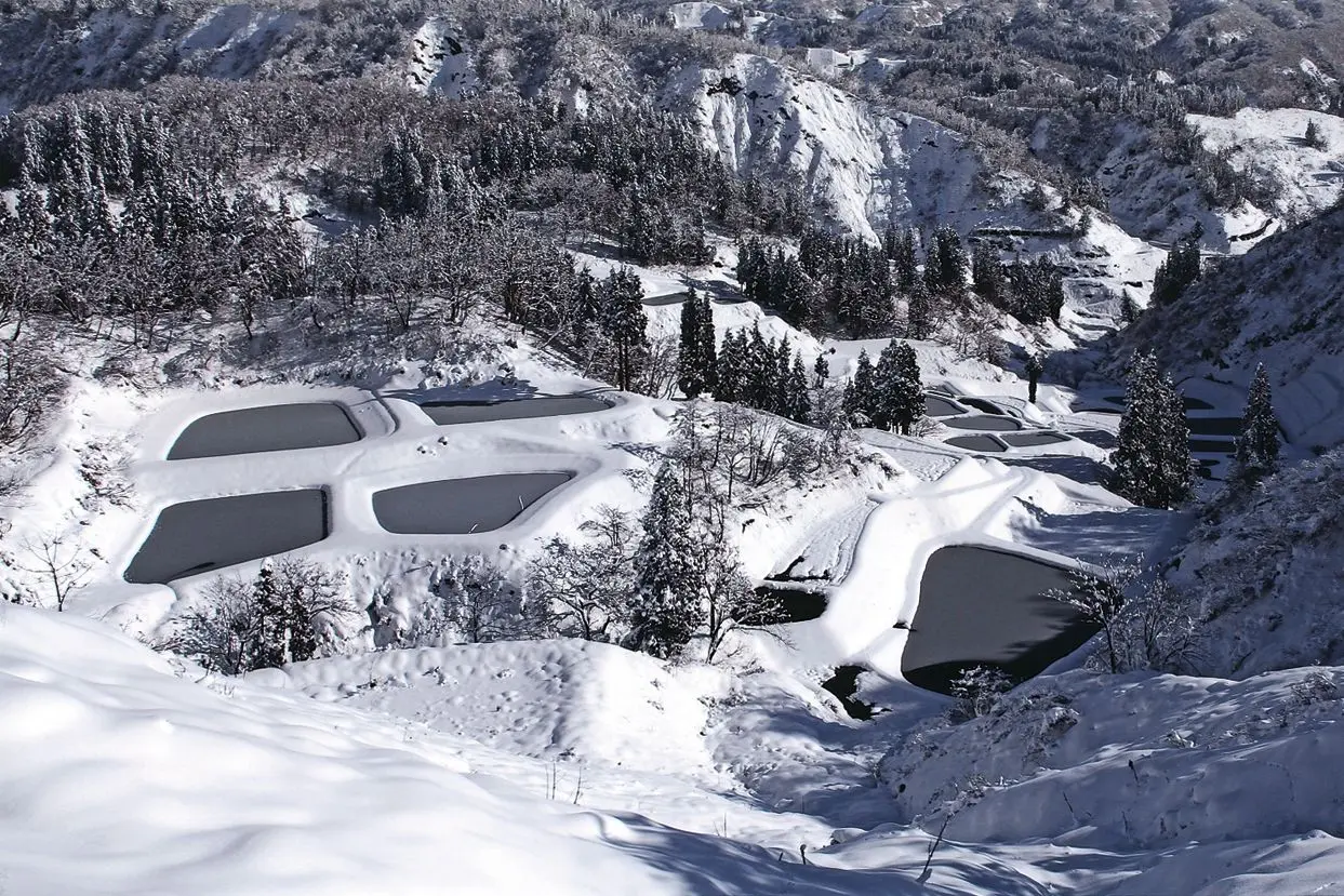 Yamakoshi Rice Terraces