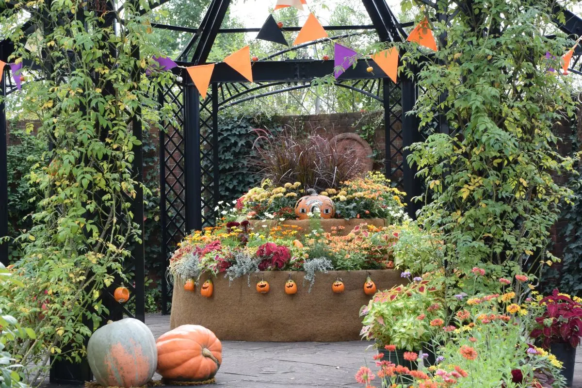 Mitsuke English Garden