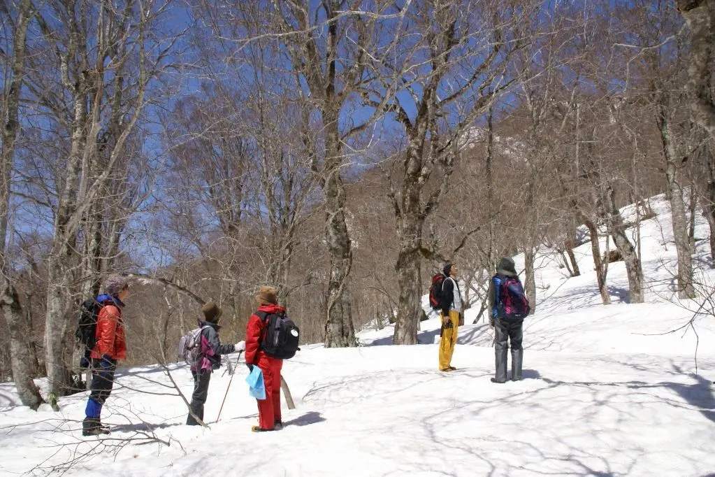 Snowshoeing in Bijinbayashi Forest
