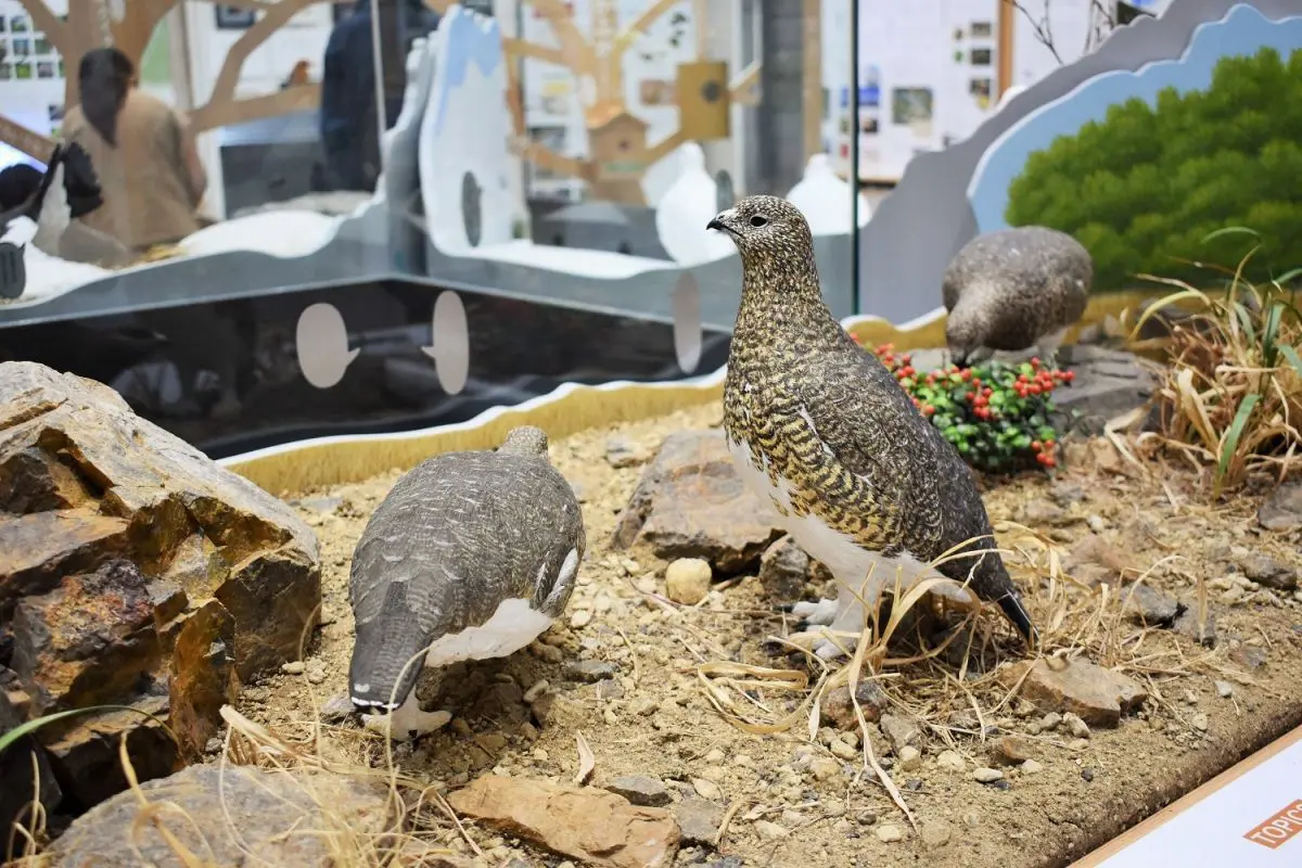 Myoko-Kogen Visitor Center