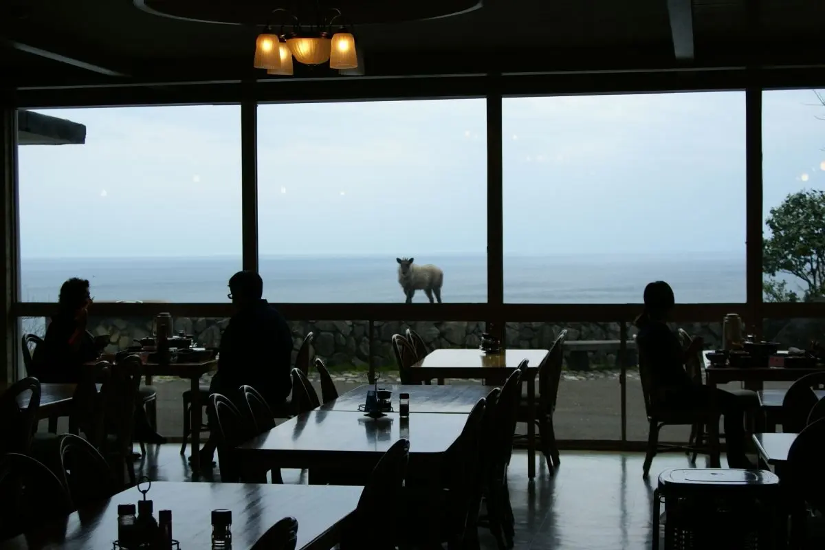 Oyashirazu Kanko Hotel