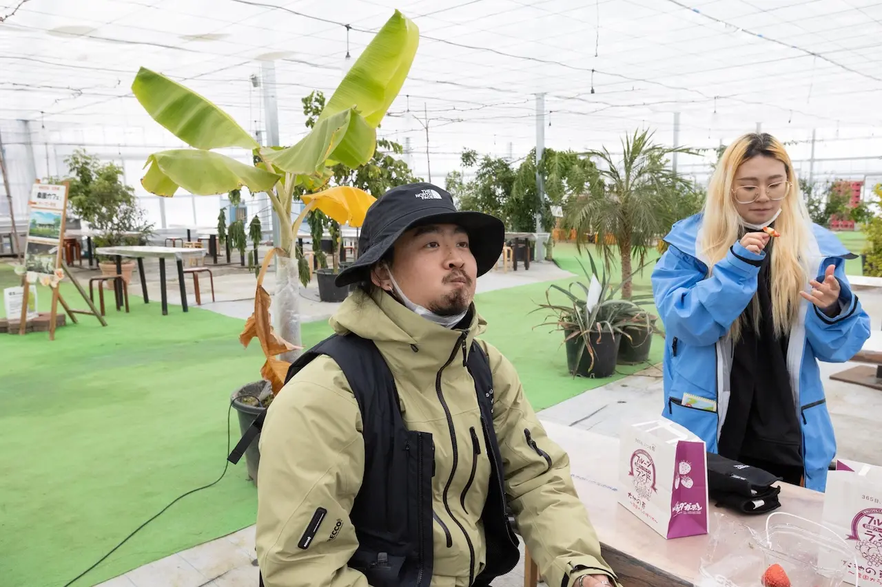 Fruit Garden Shirone Grapes Garden