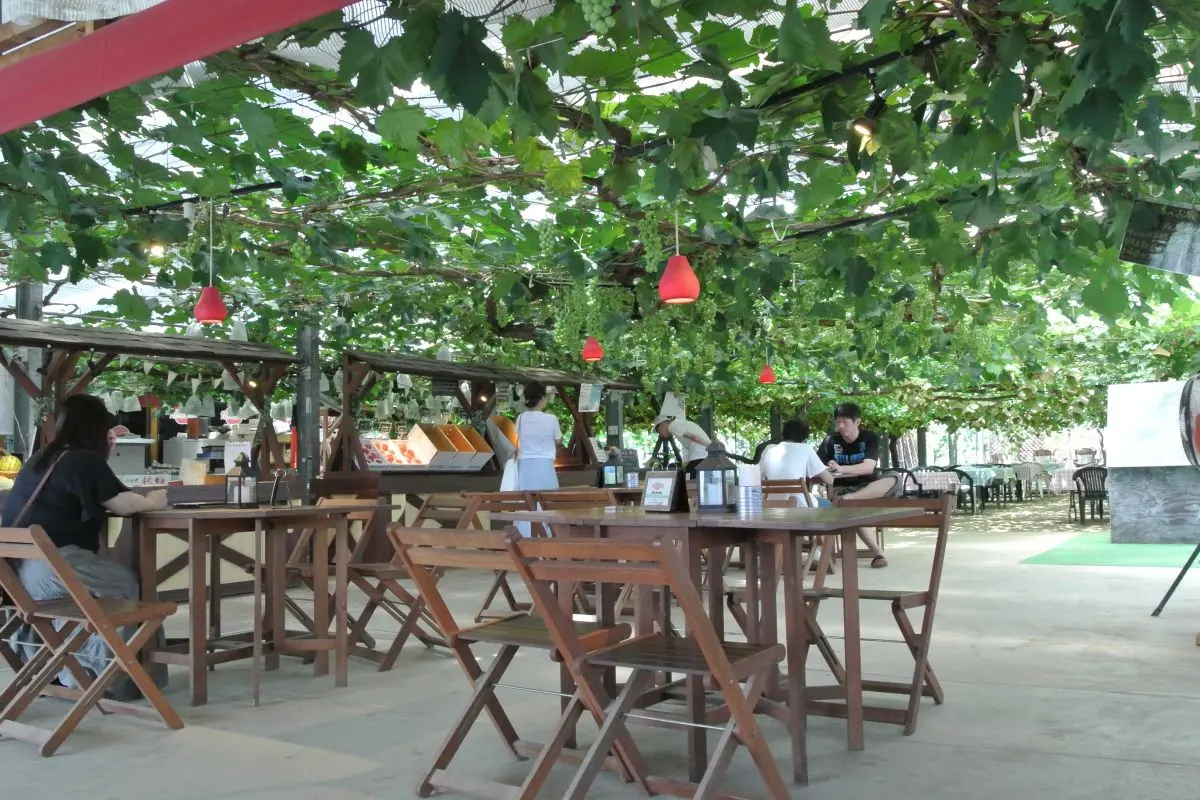 Fruit Dome Yamada Farm