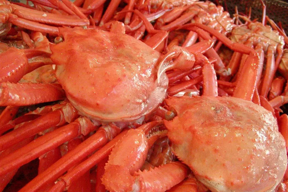 Marine Dream Nou(Roadside Station)