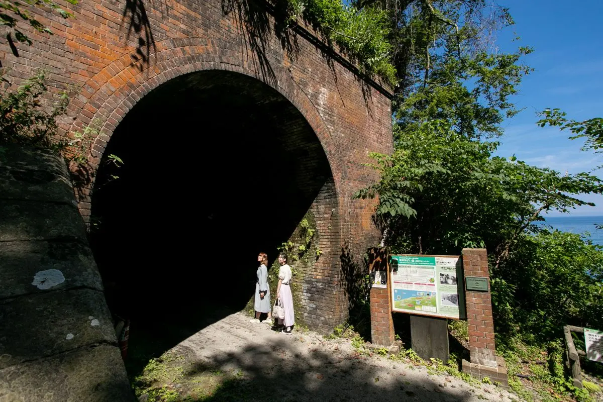 Oyashirazu-koshirazu