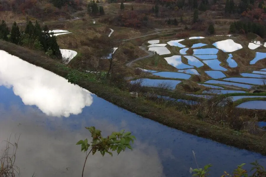 Hoshitoge Rice Terraces