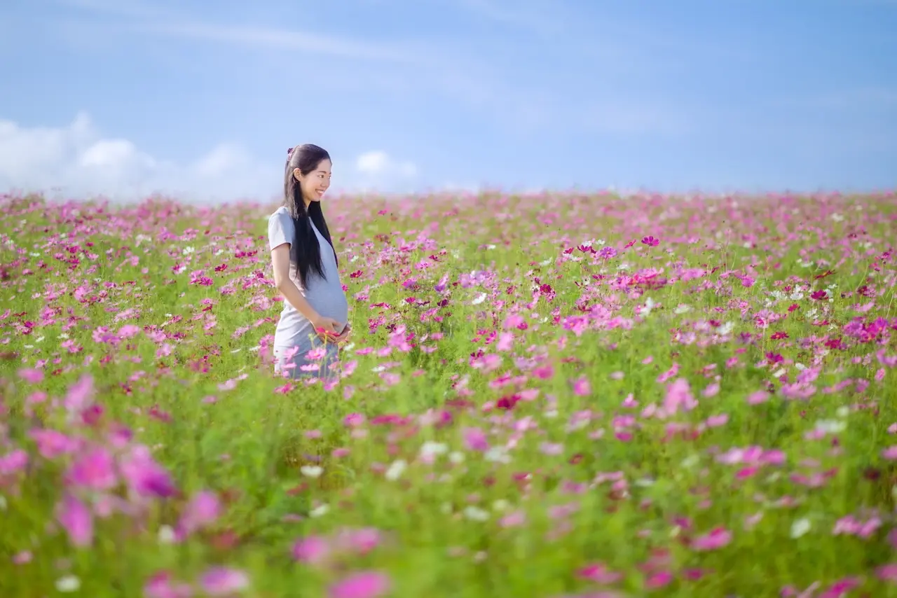 Uwappara Cosmos Park