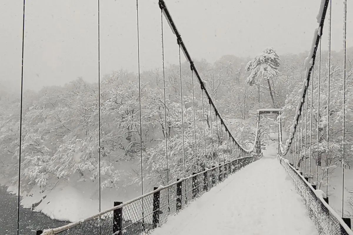 Arakawakyo Momiji Line and Takanosu Suspension Bridge