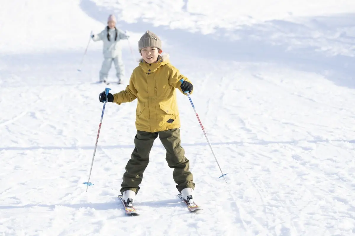 New Greenpia Tsunan Ski Resort