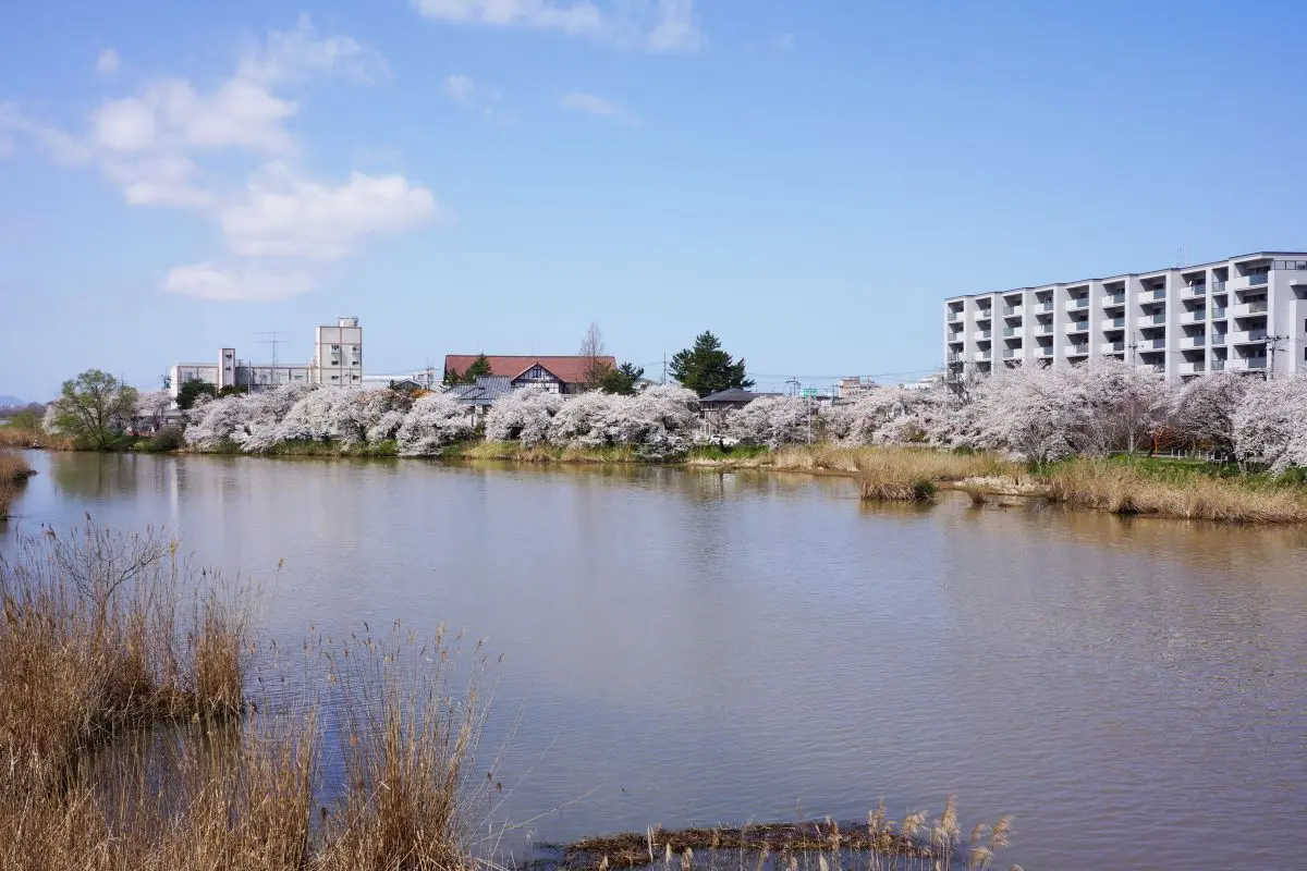 Toyanogata Lagoon